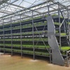 Seedling Raising Line