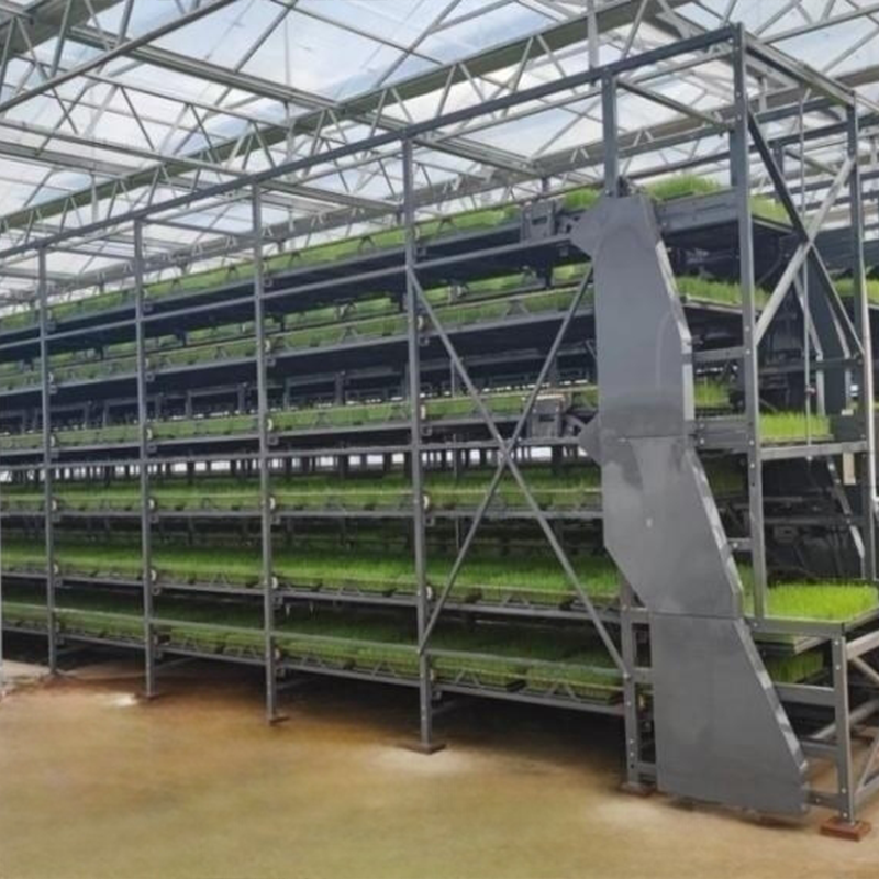 Seedling Raising Line