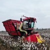 Cotton Picker