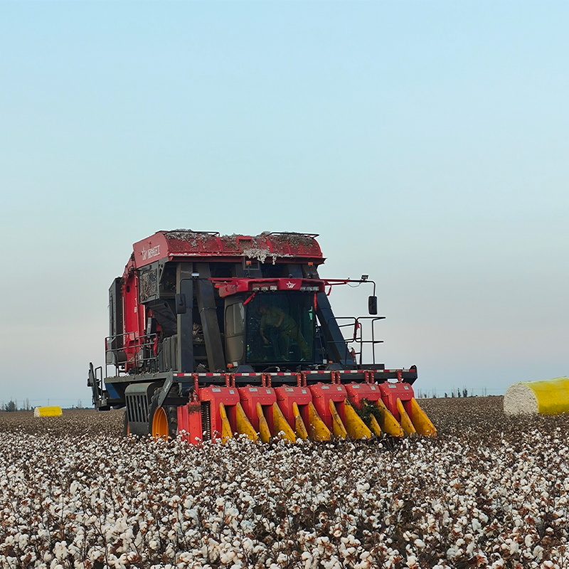 Cotton Picker