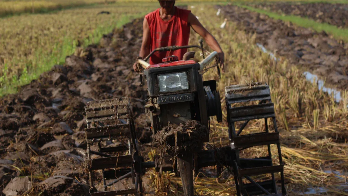 What Is a Walking Rice Transplanter?