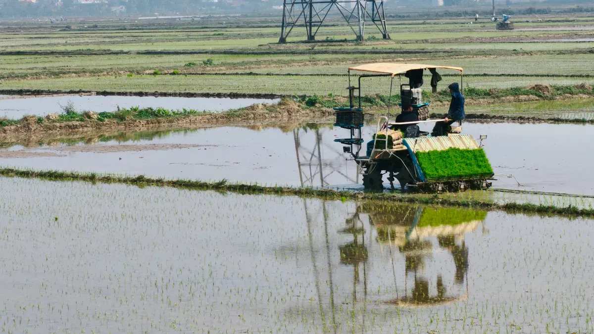 How Does a Rice Planting Machine Work: Step-by-Step Guide