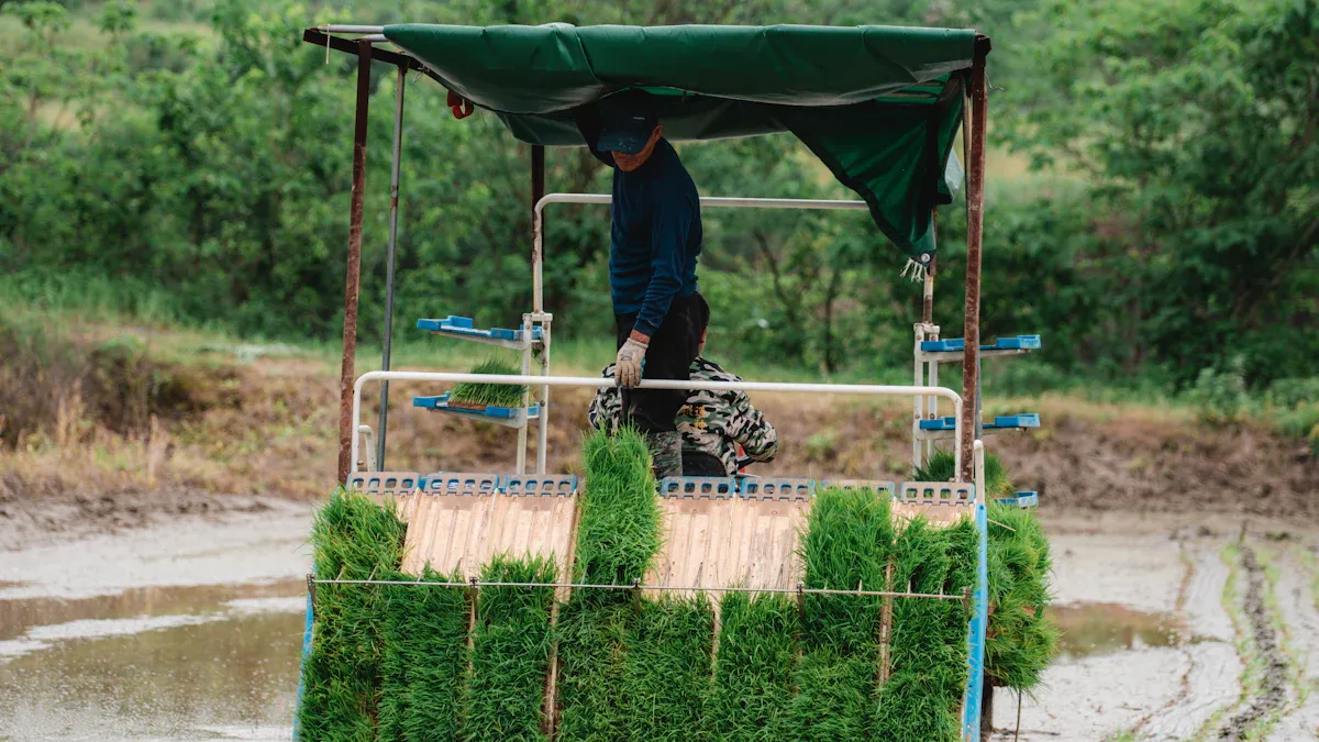 How Does a Rice Planting Machine Work: Step-by-Step Guide