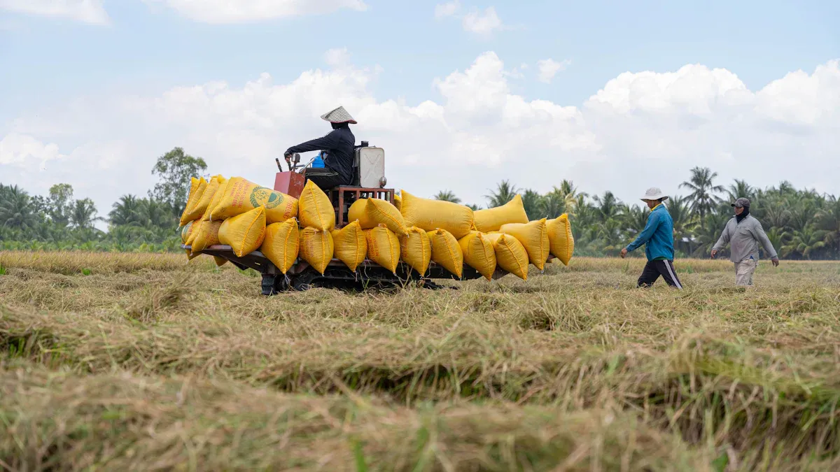 What Is a Riding Rice Transplanter?