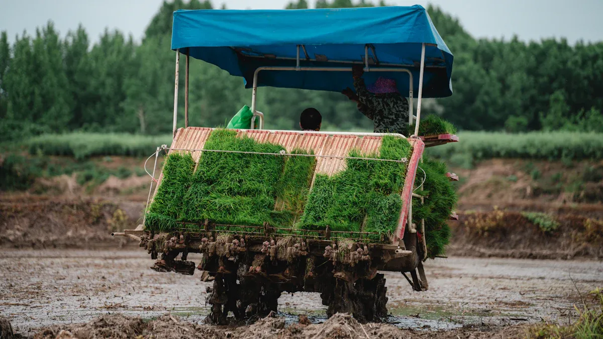 How Does a Rice Transplanter Work: Key Parts